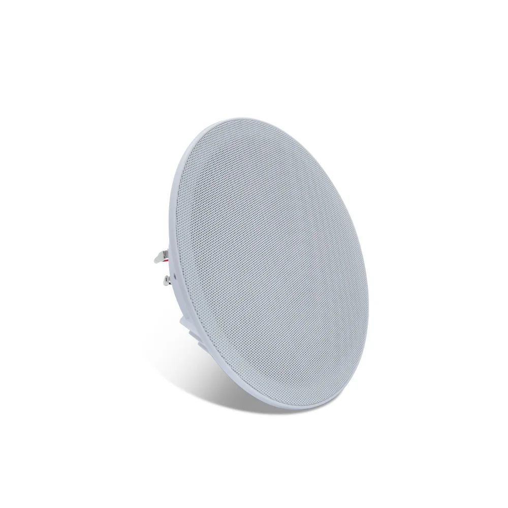 20W Ceiling Speaker Stereo 8 i - Audio Music In Background 评论和价格