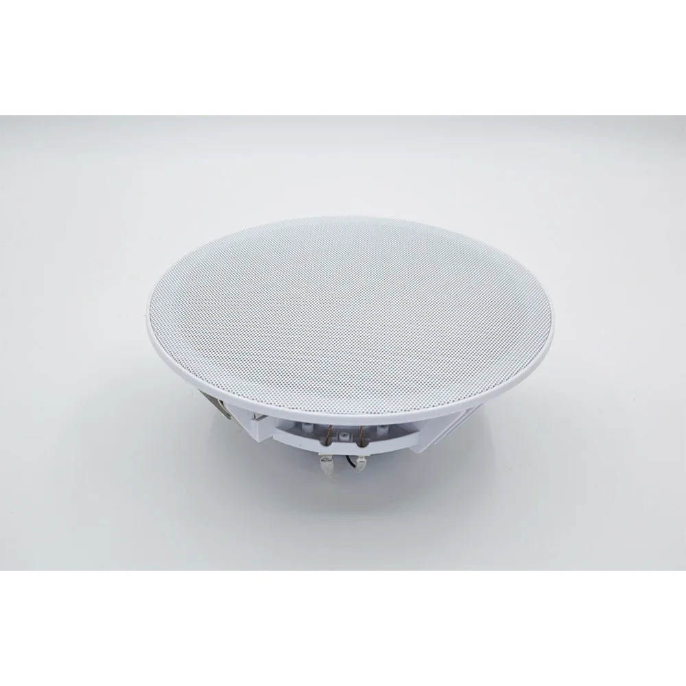 20W Ceiling Speaker Stereo 8 i - Audio Music In Background 评论和价格
