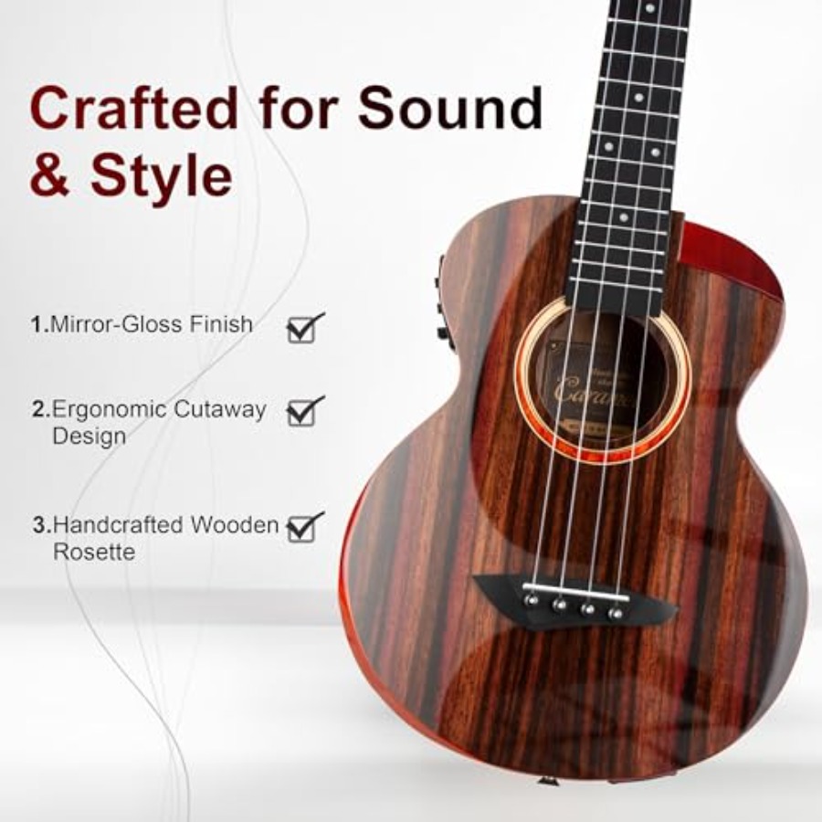 TEG91 Cutaway Ebony Glossy Ten - Ukulele Beginner Kit 评论和价格