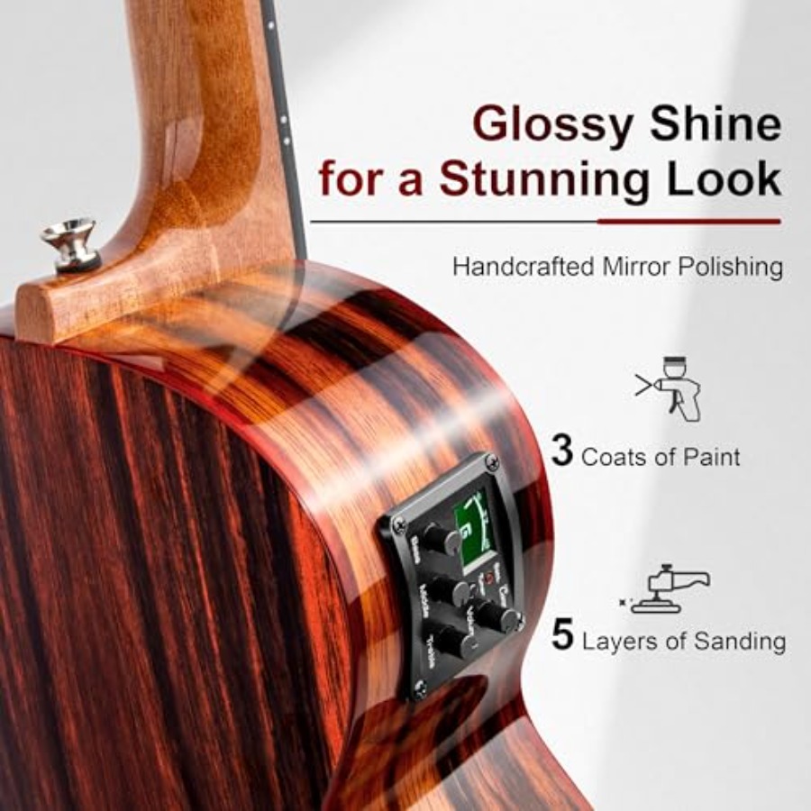 TEG91 Cutaway Ebony Glossy Ten - Ukulele Beginner Kit 评论和价格