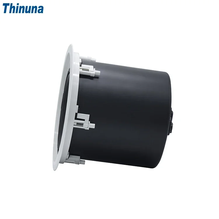 2025 Thinuna MS-10SUB-L II Hom - Audio Music In Background 评论和价格