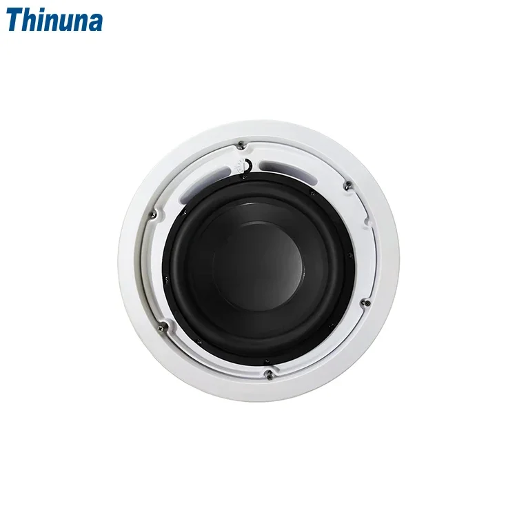 2025 Thinuna MS-10SUB-L II Hom - Audio Music In Background 评论和价格