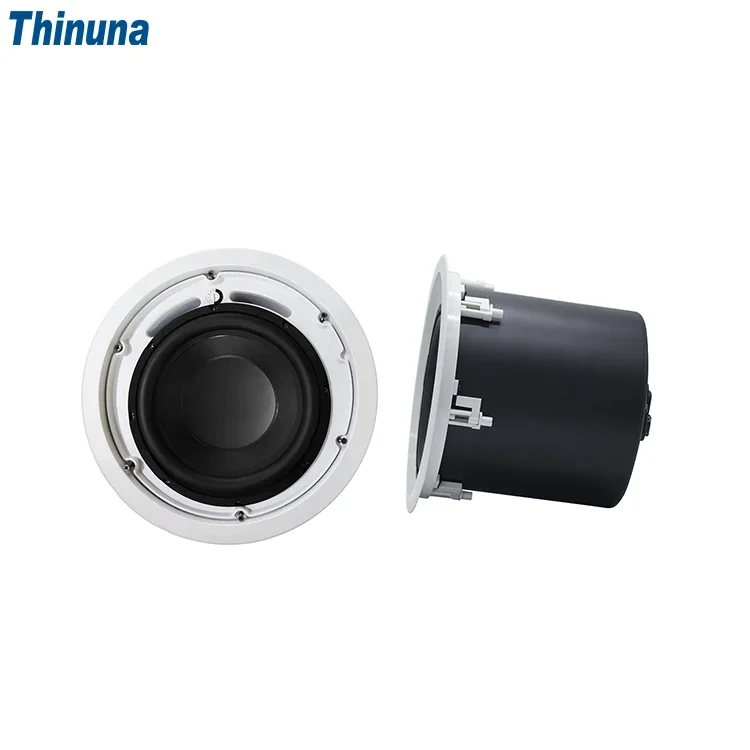 2025 Thinuna MS-10SUB-L II Hom - Audio Music In Background 评论和价格