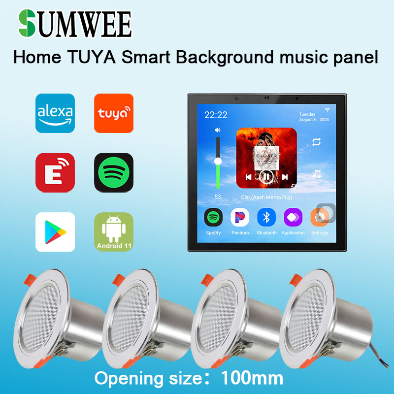 4 Inch Android 11 Tuya Smart H - Audio Music In Background 评论和价格