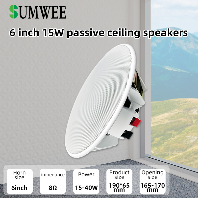 6 Inch 8ohm Ceiling Speaker Fu - Audio Music In Background 评论和价格