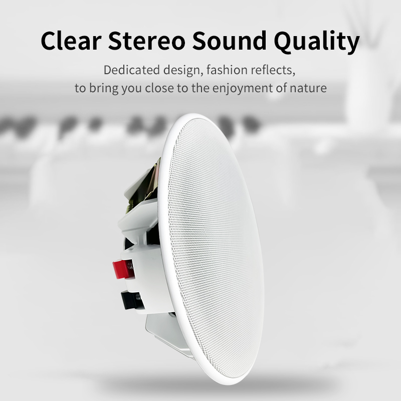 6 Inch 8ohm Ceiling Speaker Fu - Audio Music In Background 评论和价格