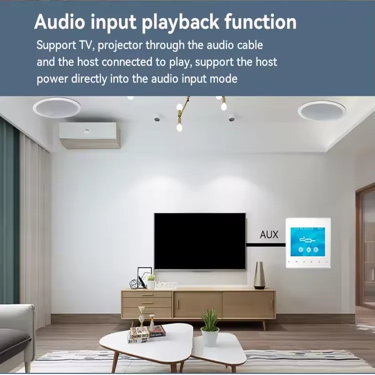 Home Bluetooth Wall Amplifier  - Audio Music In Background 评论和价格