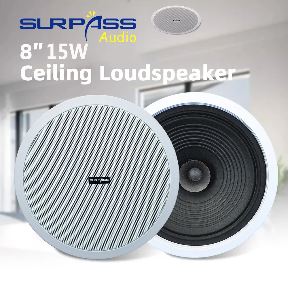 Home Audio Sound System 8inch  - Audio Music In Background 评论和价格