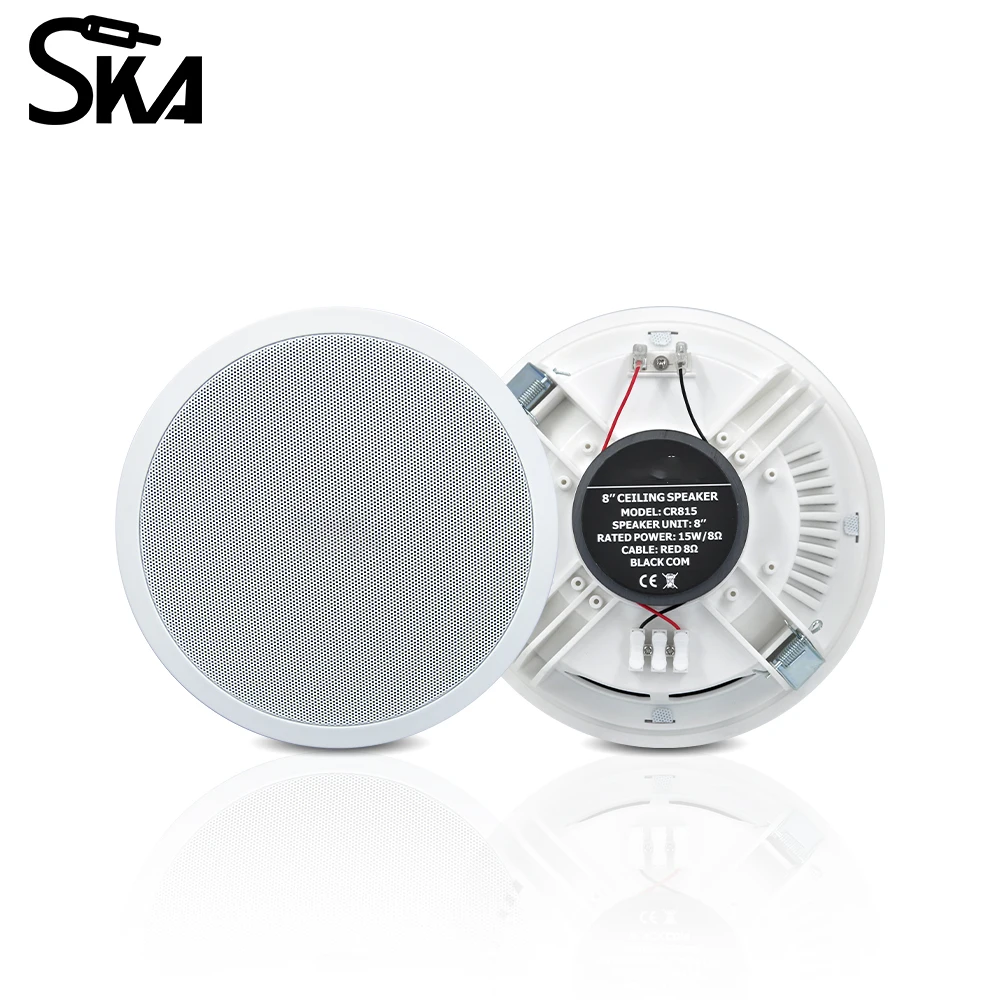 PW4420T+CR815 Smart Home Audio - Audio Music In Background 评论和价格