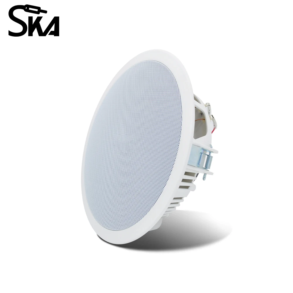 PW4420T+CR815 Smart Home Audio - Audio Music In Background 评论和价格