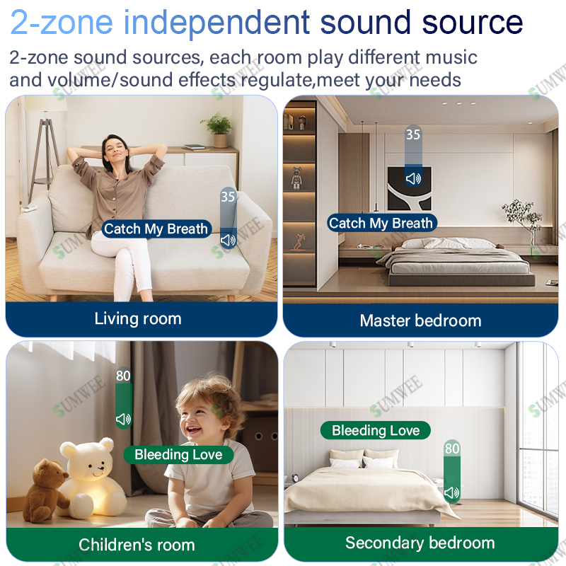 2zone audio in wall amplifier  - Audio Music In Background 评论和价格