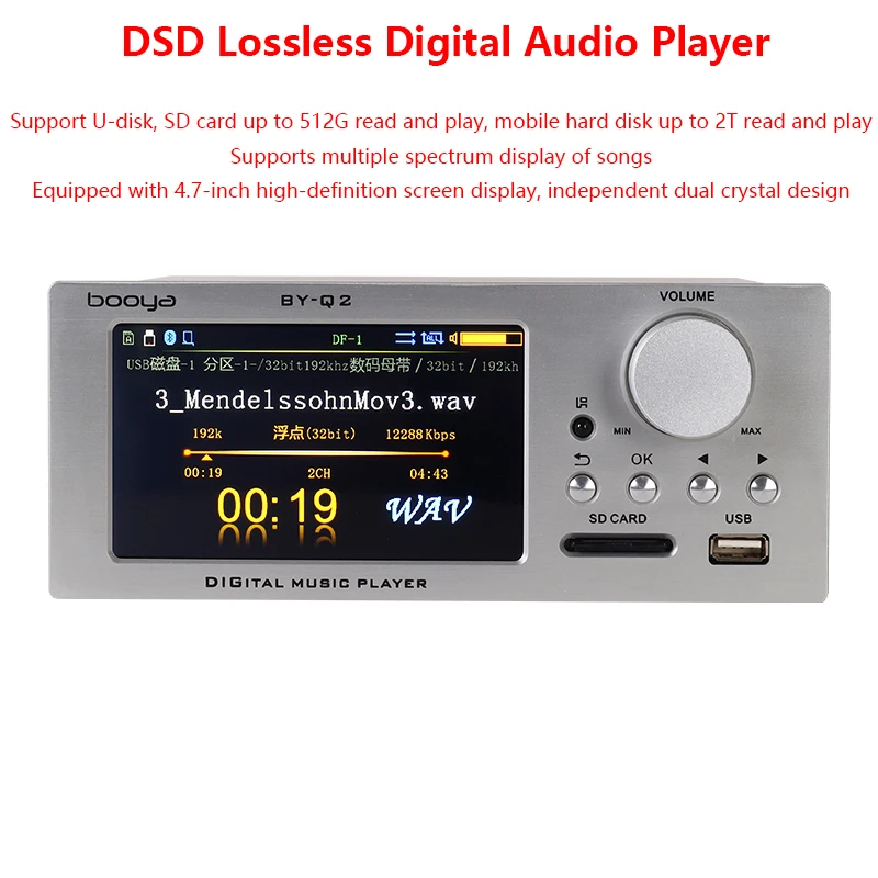 Audiophile Lossless Digital Au - Audio Music To Mp3 评论和价格