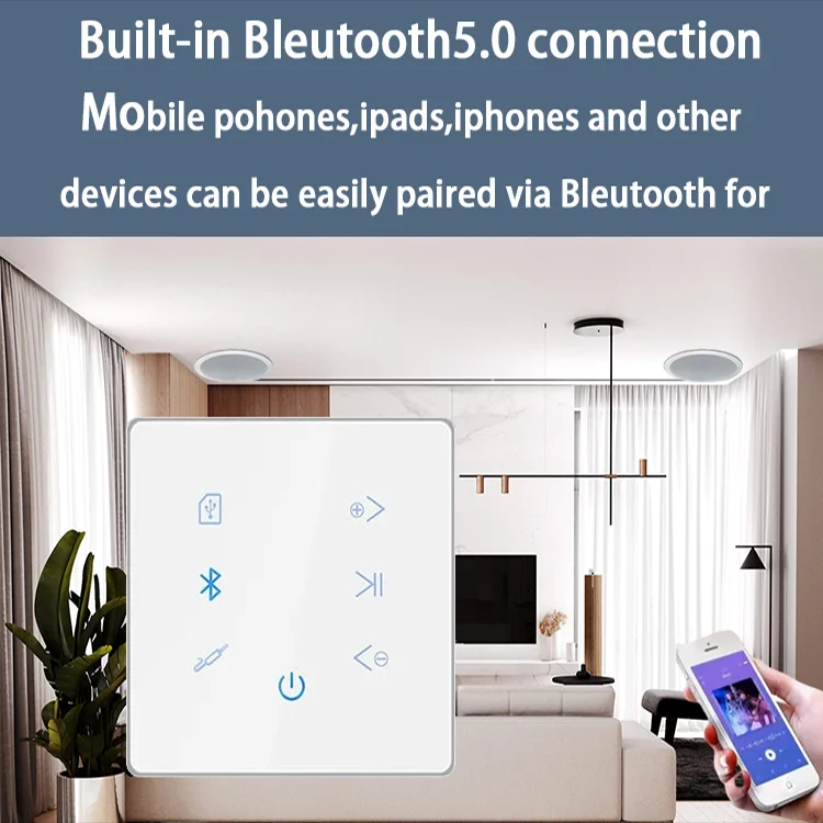 Bluetooth Wall Amplifier Home  - Audio Music In Background 评论和价格