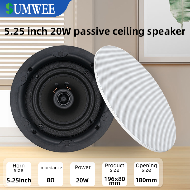 5.25 inch 8 ohm ceiling speake - Audio Music In Background 评论和价格