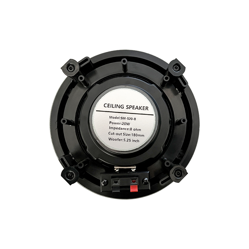 5.25 inch 8 ohm ceiling speake - Audio Music In Background 评论和价格