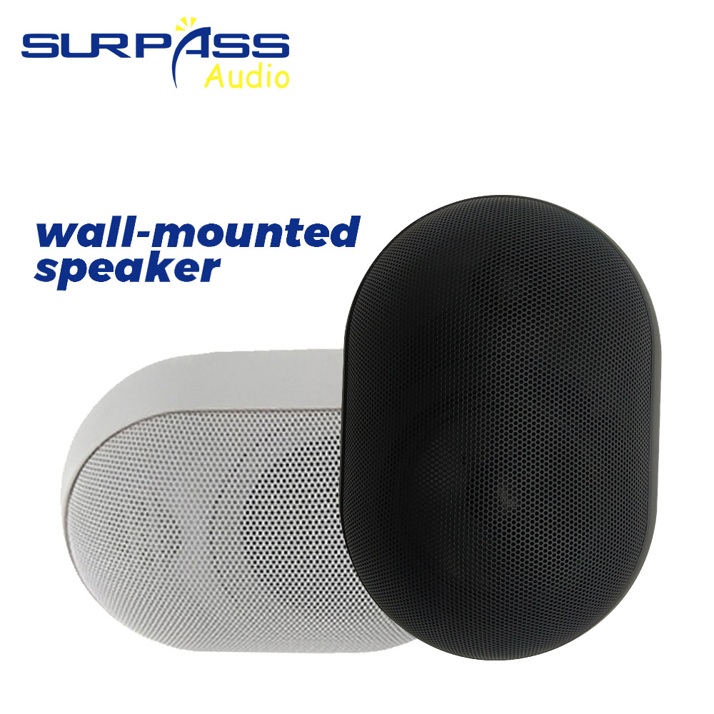 30W Wall-mounted Speaker Water - Audio Music In Background 评论和价格