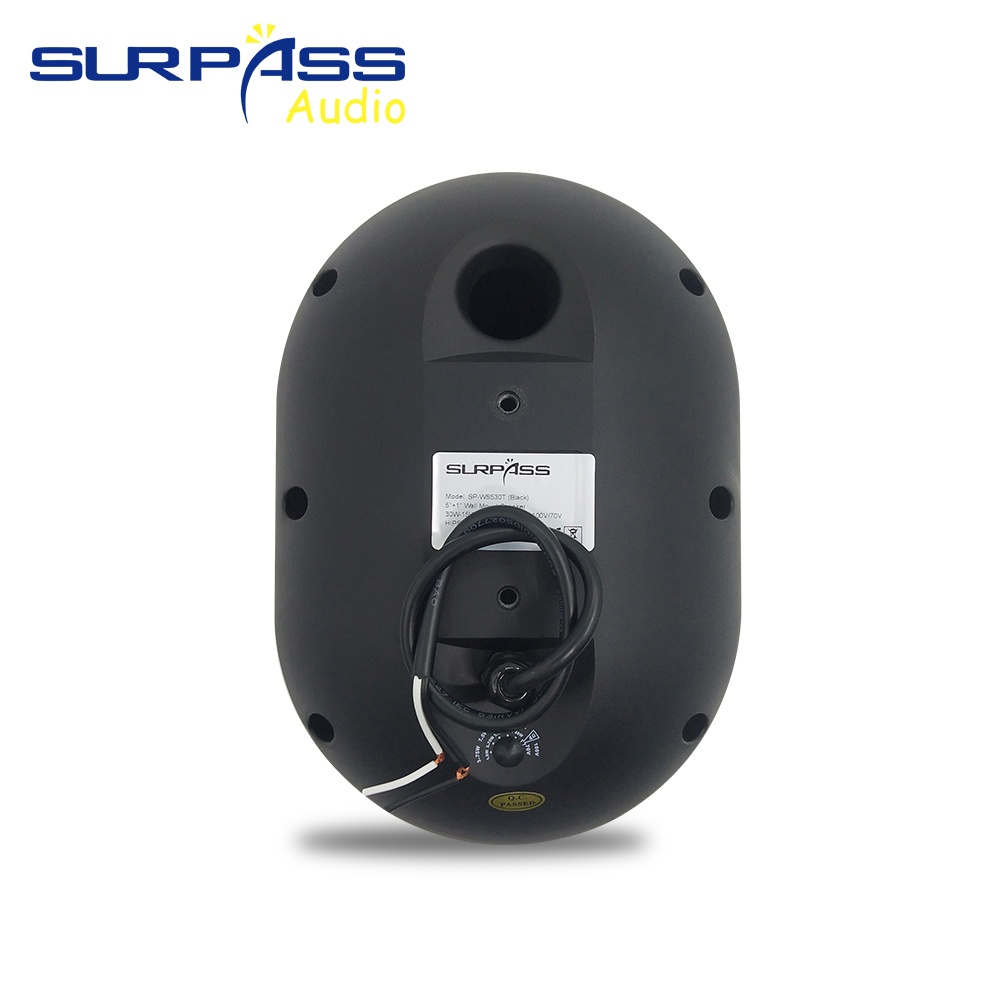 30W Wall-mounted Speaker Water - Audio Music In Background 评论和价格
