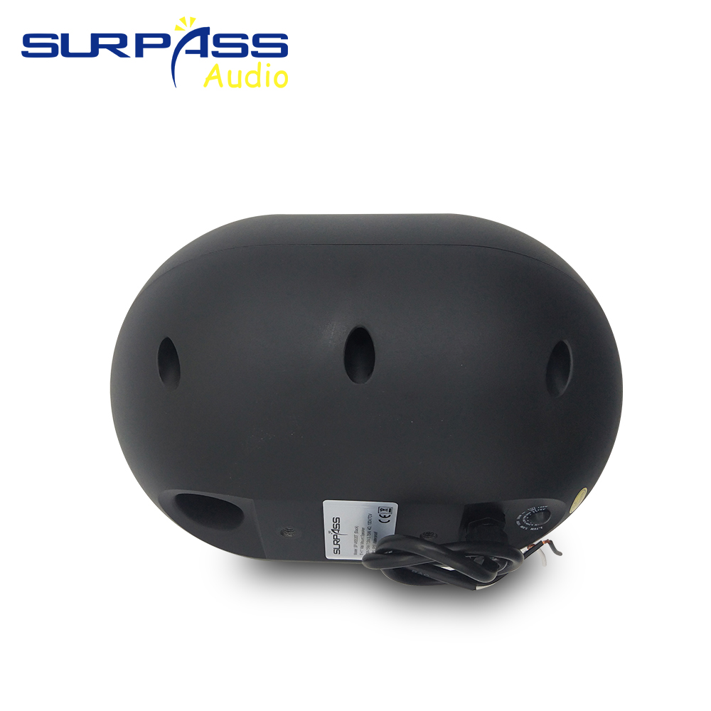 30W Wall-mounted Speaker Water - Audio Music In Background 评论和价格
